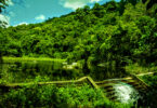 Reserva da Pedra Talhada